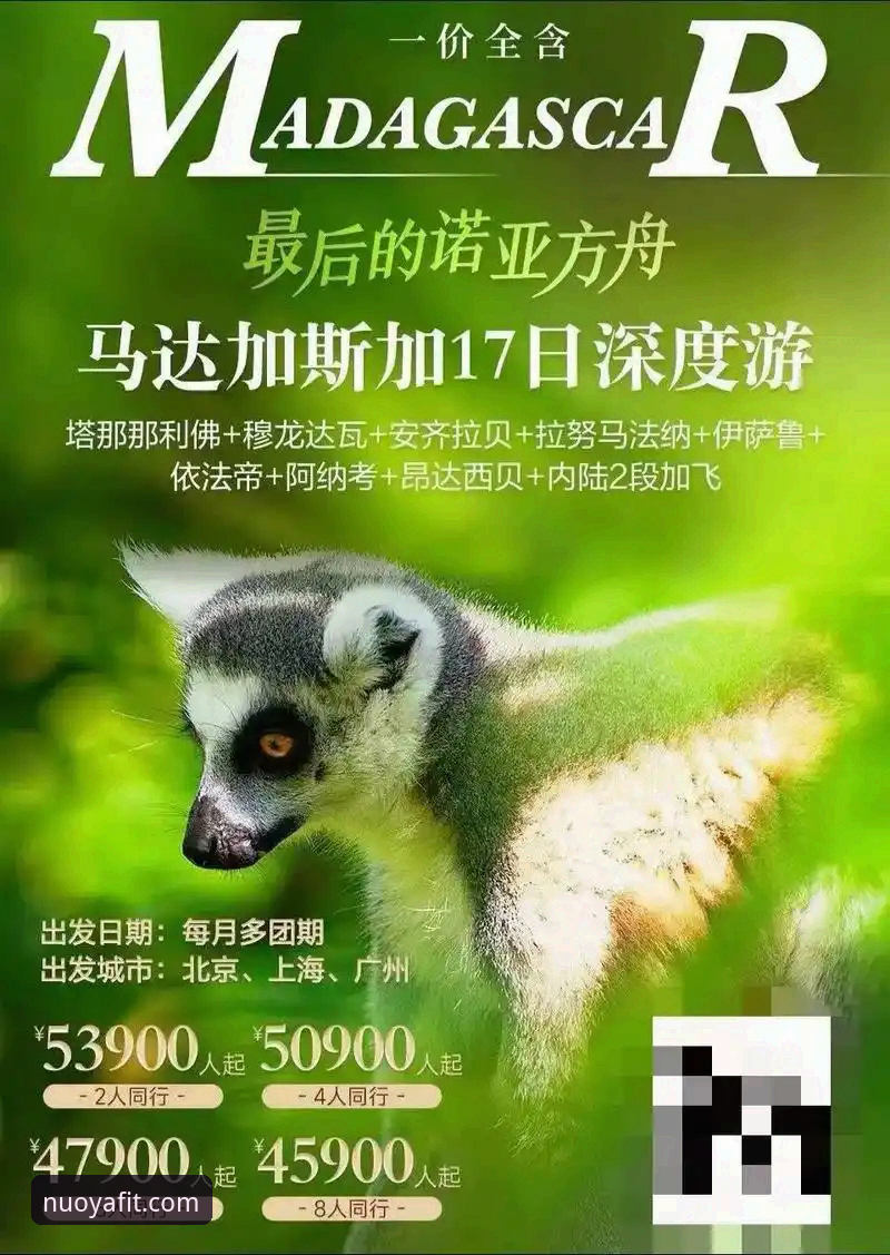 诺亚体育注册评测 诺亚体育注册评测:5个关键步骤助新手快速上手体验